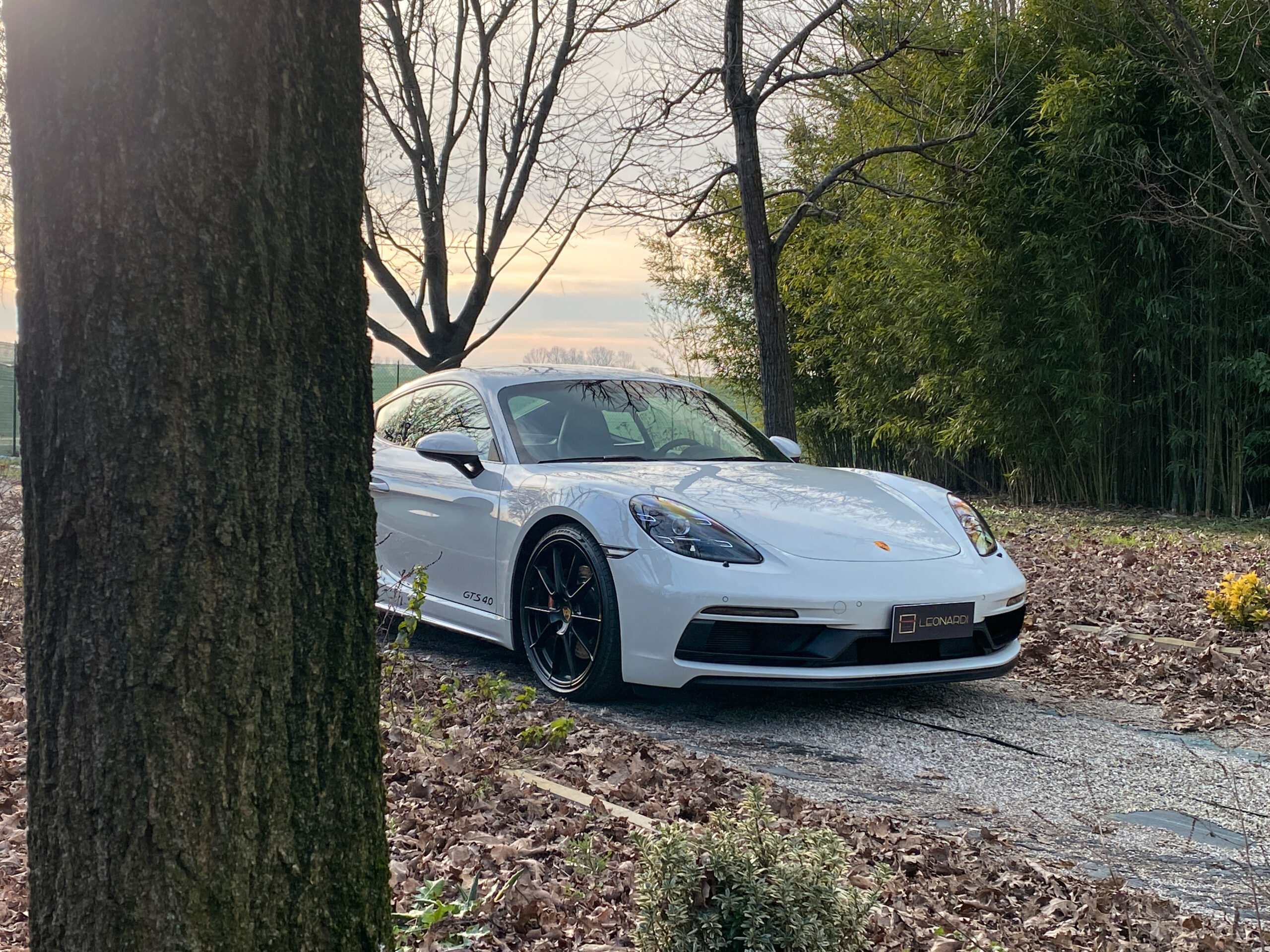 Cayman GTS-09