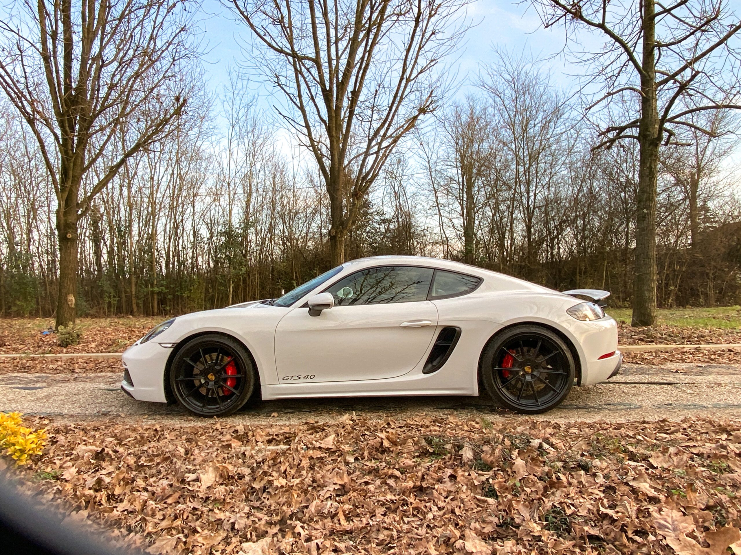 Cayman GTS-15
