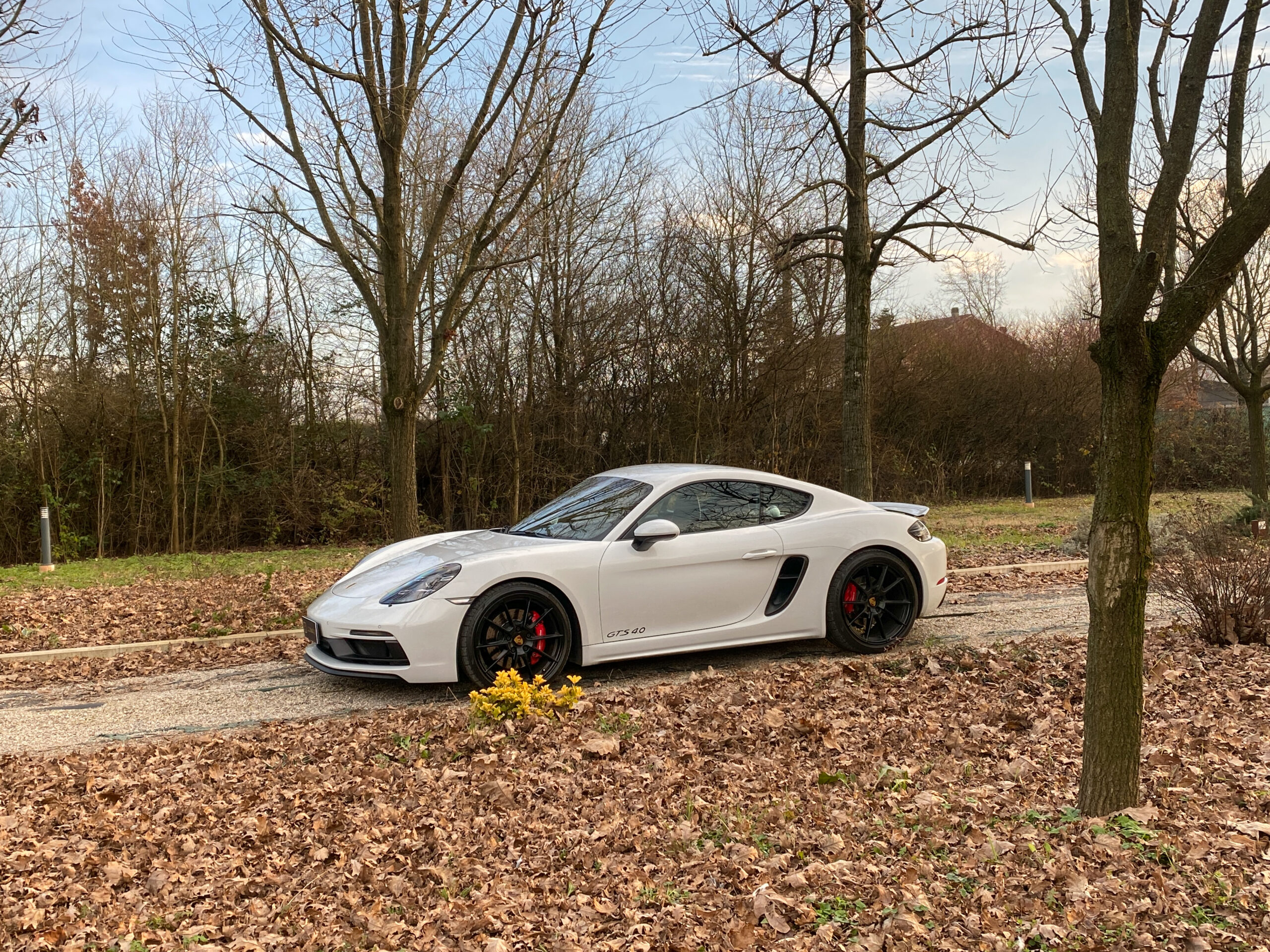 Cayman GTS-16