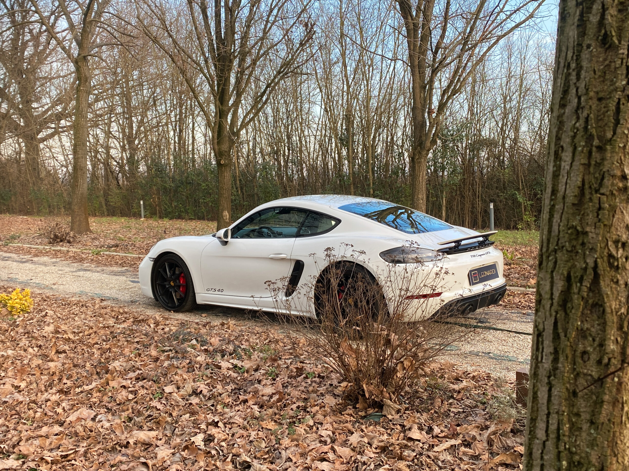 Cayman GTS-18