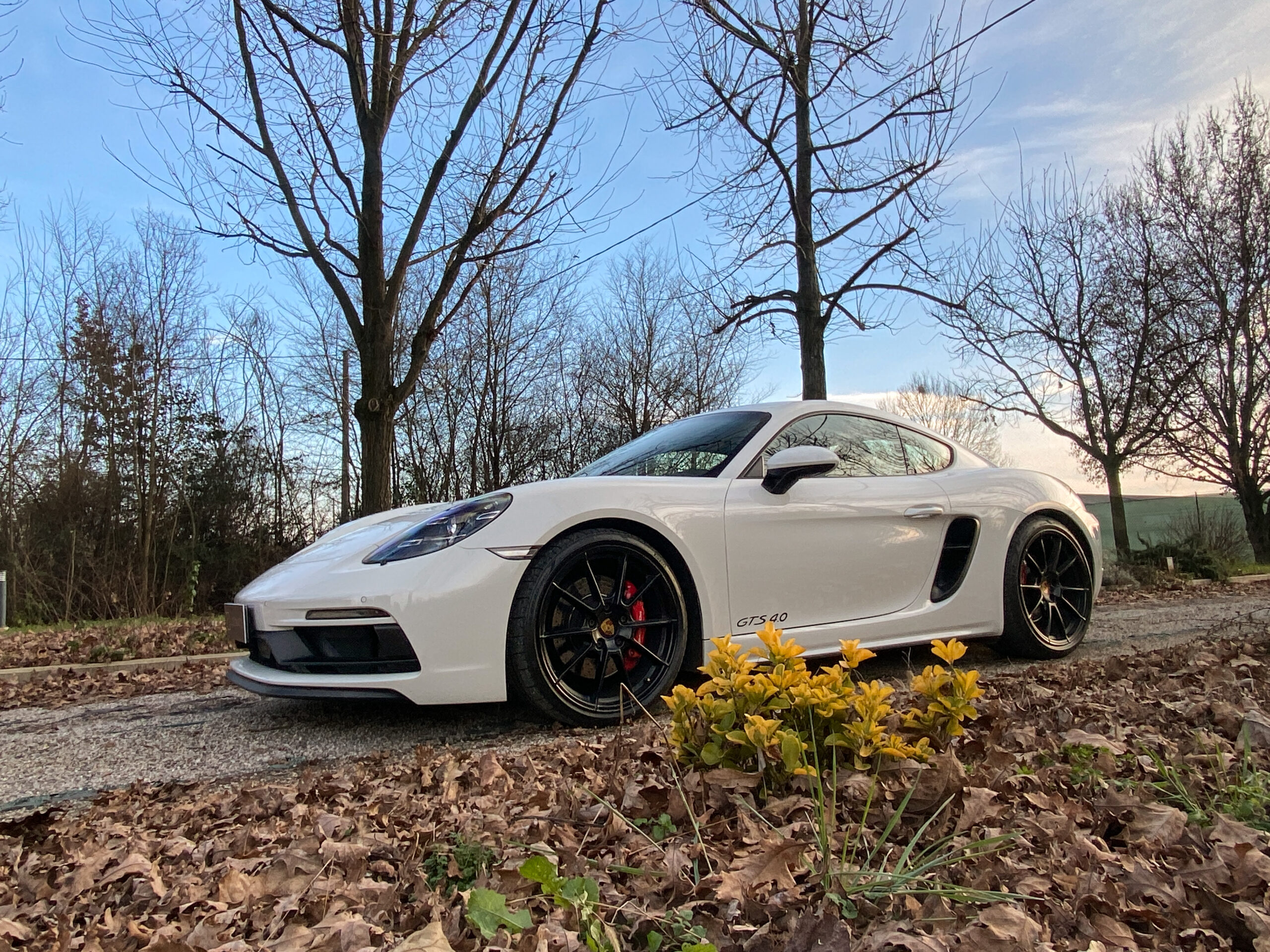Cayman GTS-2