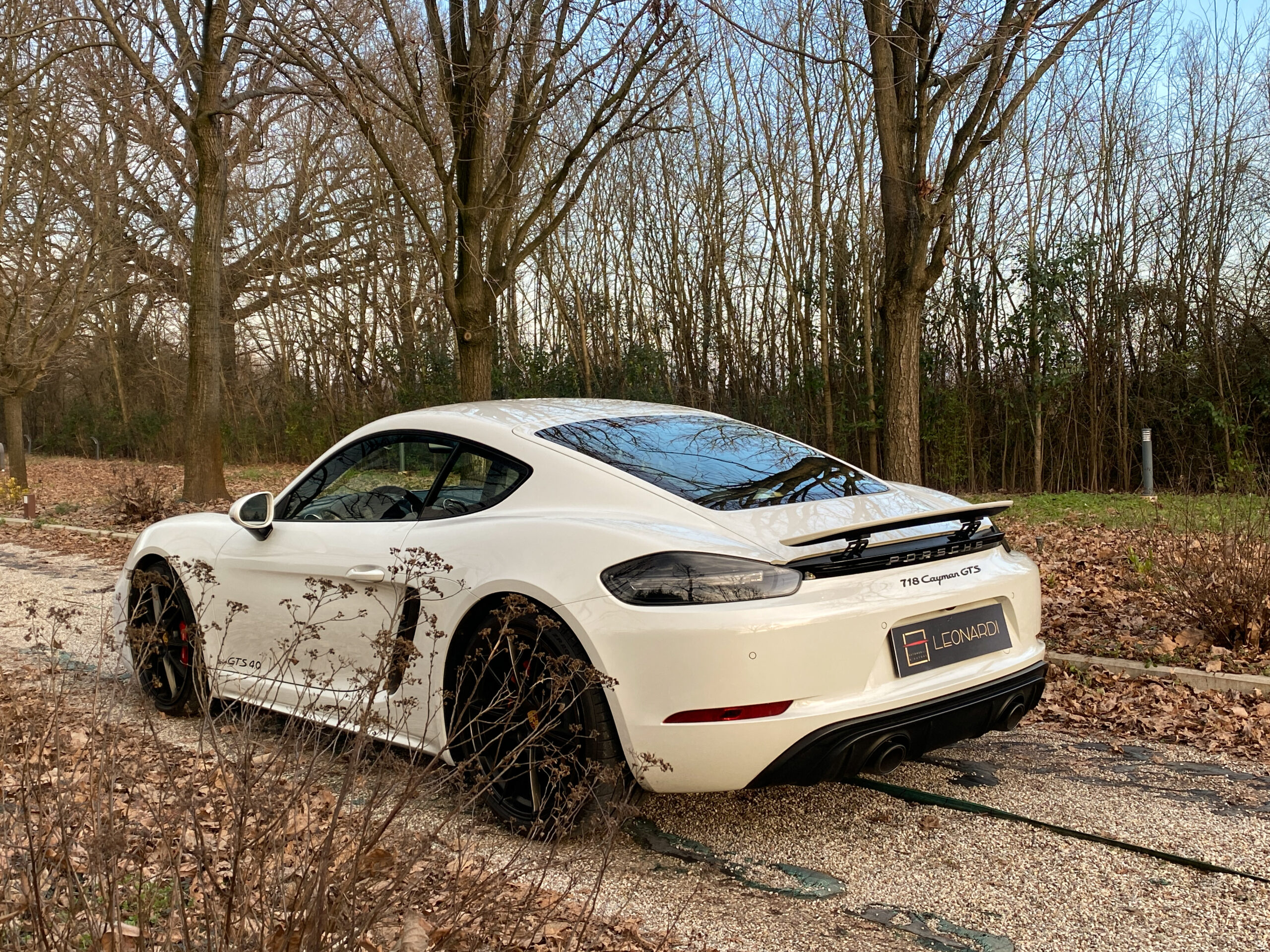Cayman GTS-20
