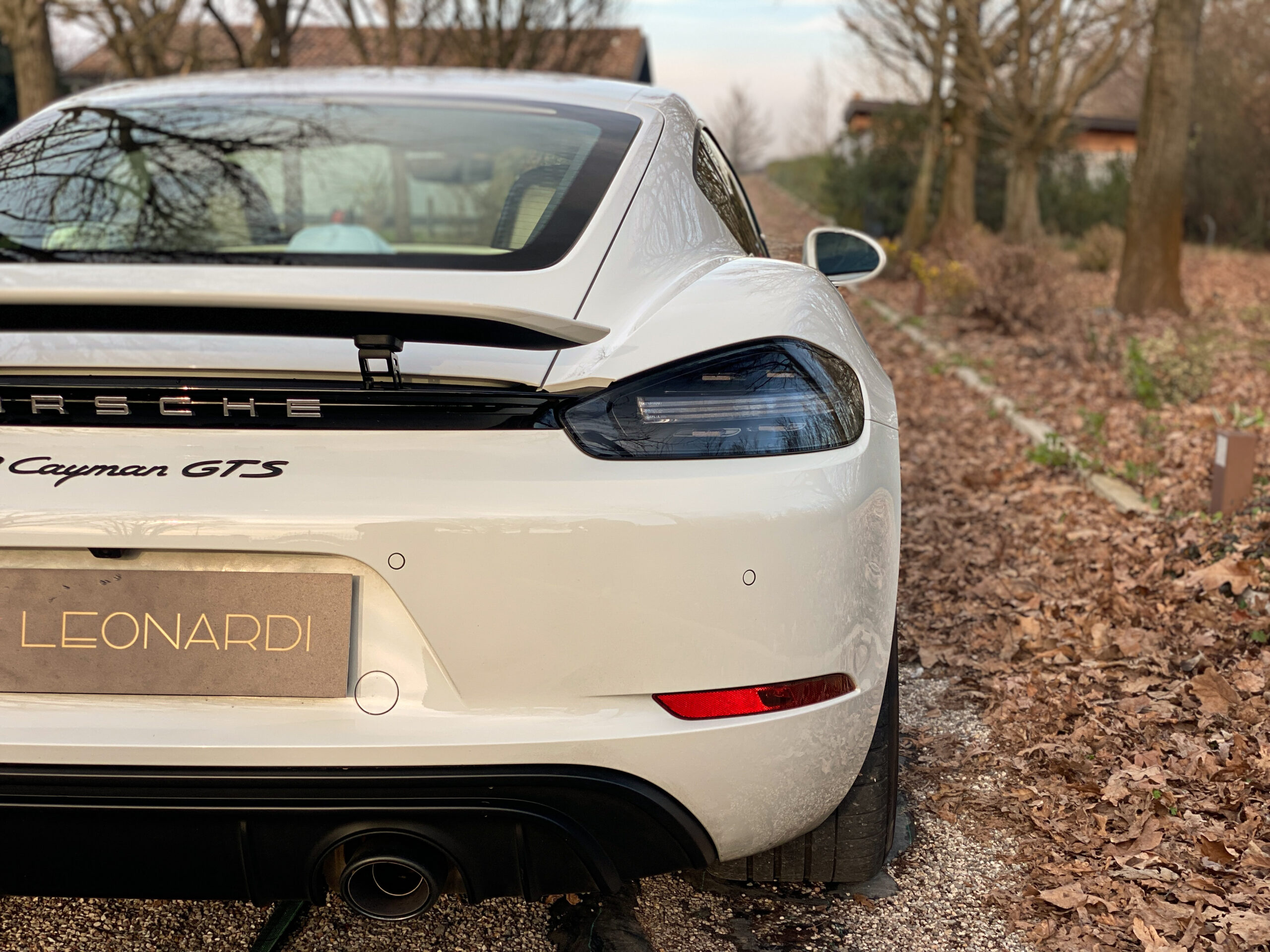 Cayman GTS-24