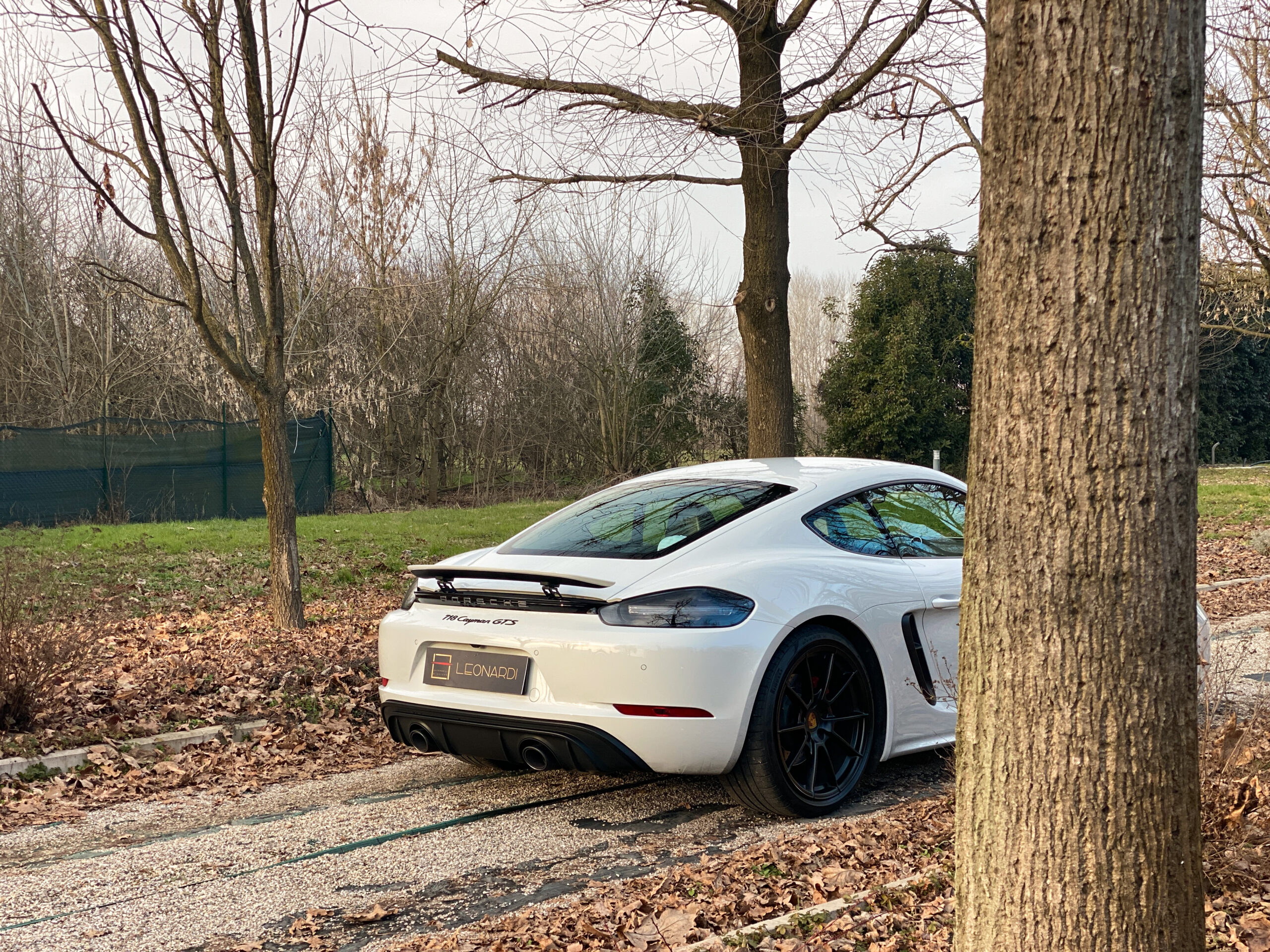 Cayman GTS-26