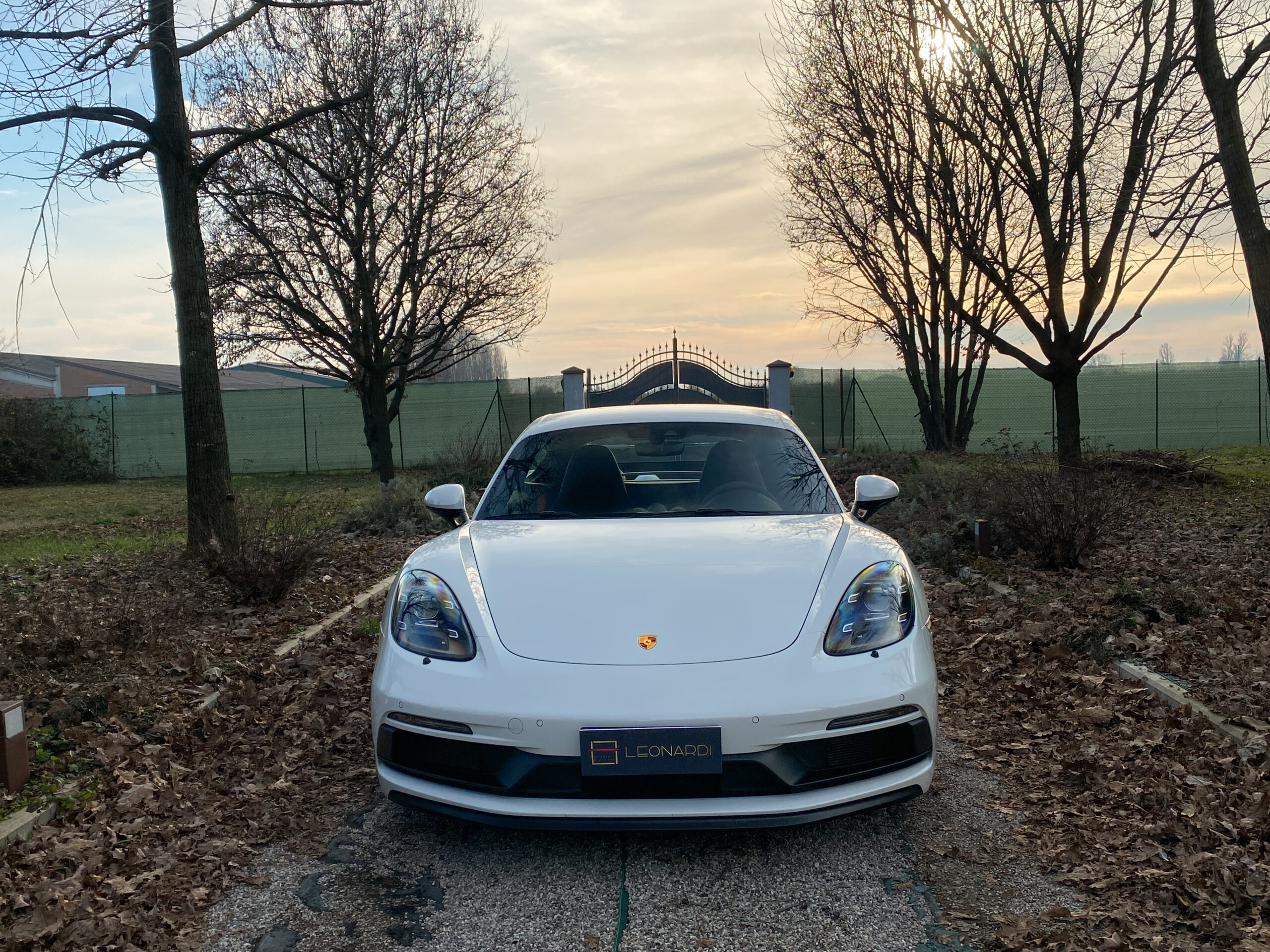 Cayman GTS-3