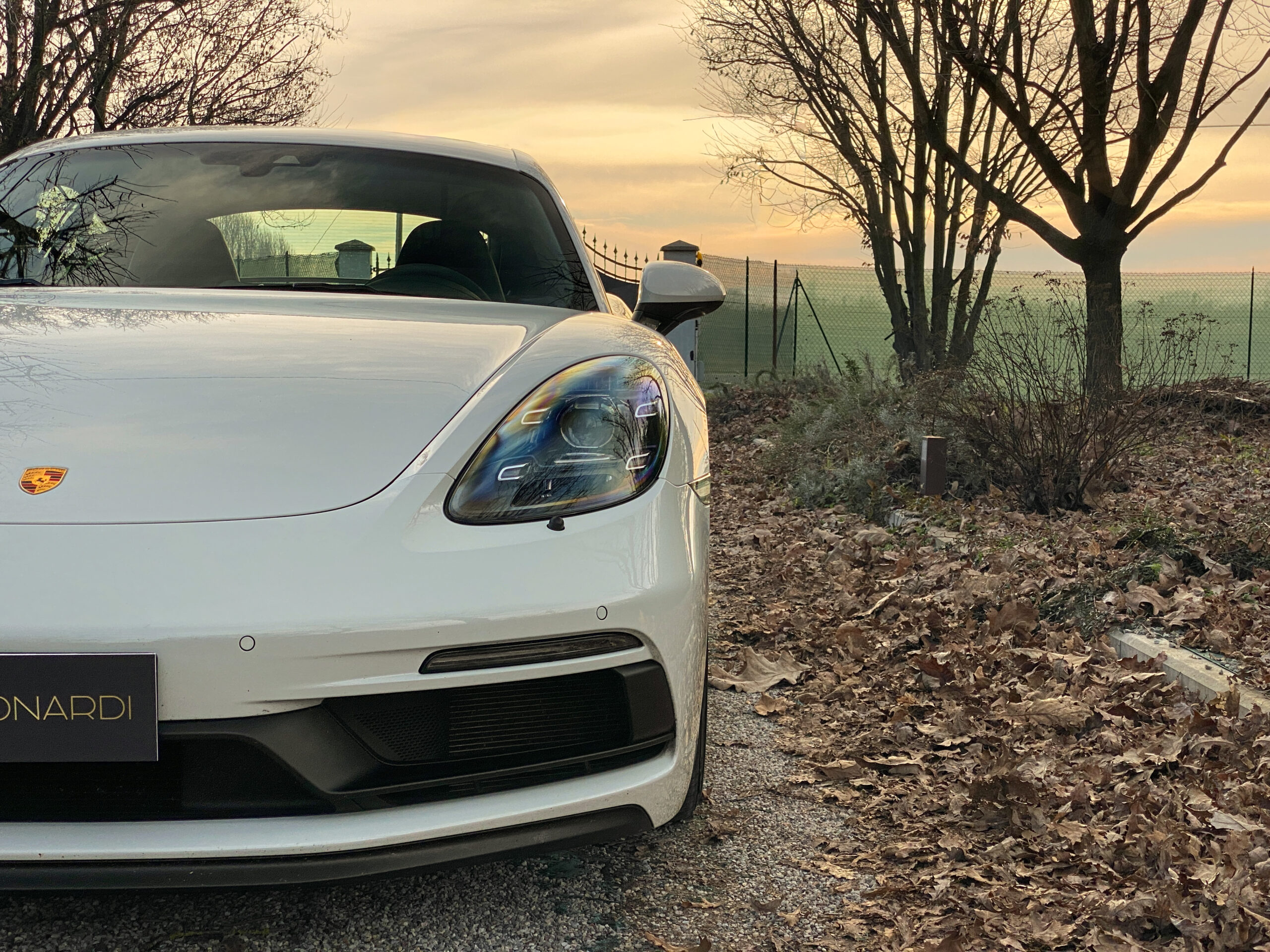 Cayman GTS-5